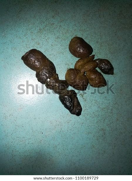 Occult infused cat excrement concoction